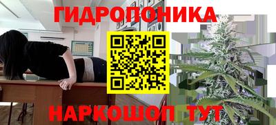 стафф Кулебаки