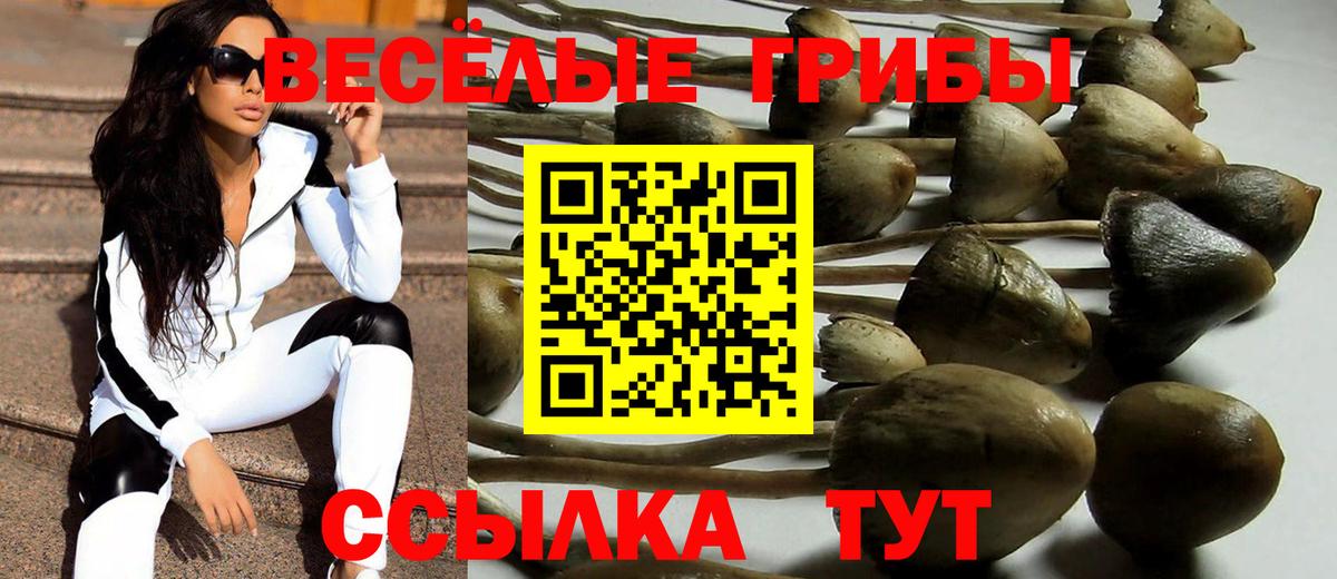 Галлюциногенные грибы Psilocybe  дарнет шоп  Вход с VPN  Заволжье  Галлюциногенные грибы GOLDEN TEACHER 